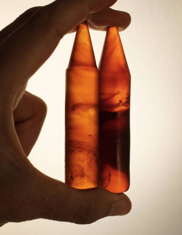 burmese amber earplugs